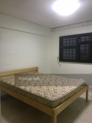 marine-terrace photo thumbnail #4